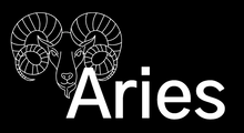 Load image into Gallery viewer, Aries Tee™
